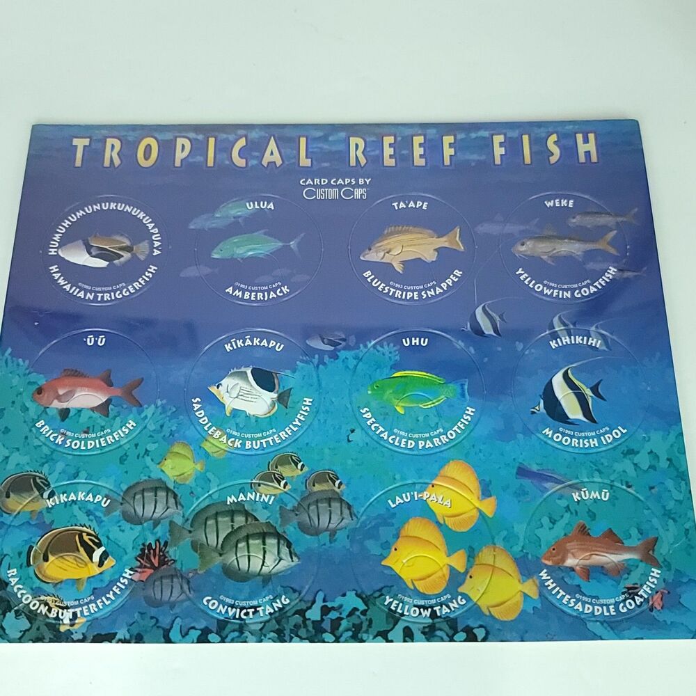 Pogs Tropical Reef Fish Custom Caps Sealed On Card NEW